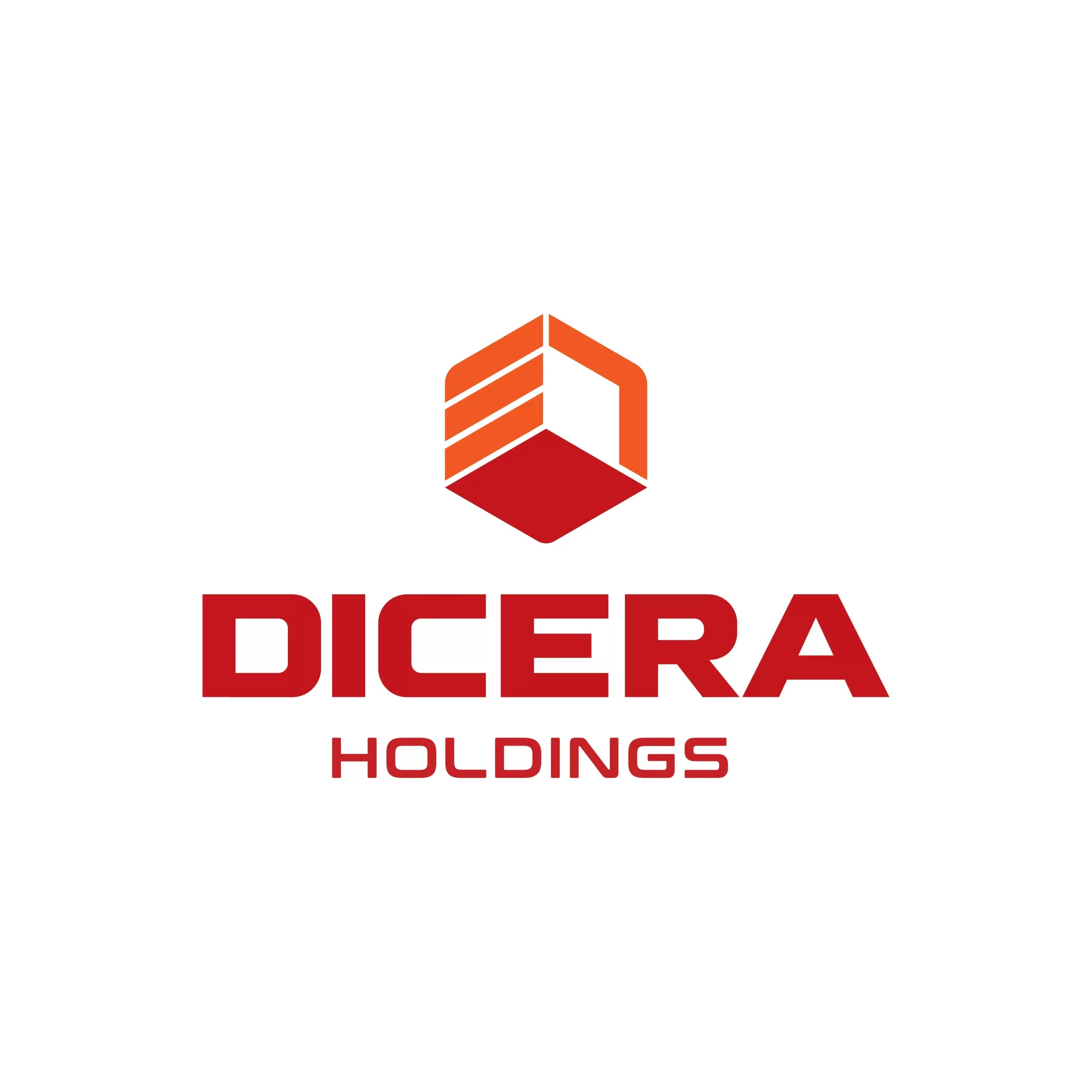 CÔNG TY CỔ PHẦN DICERA HOLDINGS CÔNG TY CỔ PHẦN DICERA HOLDINGS