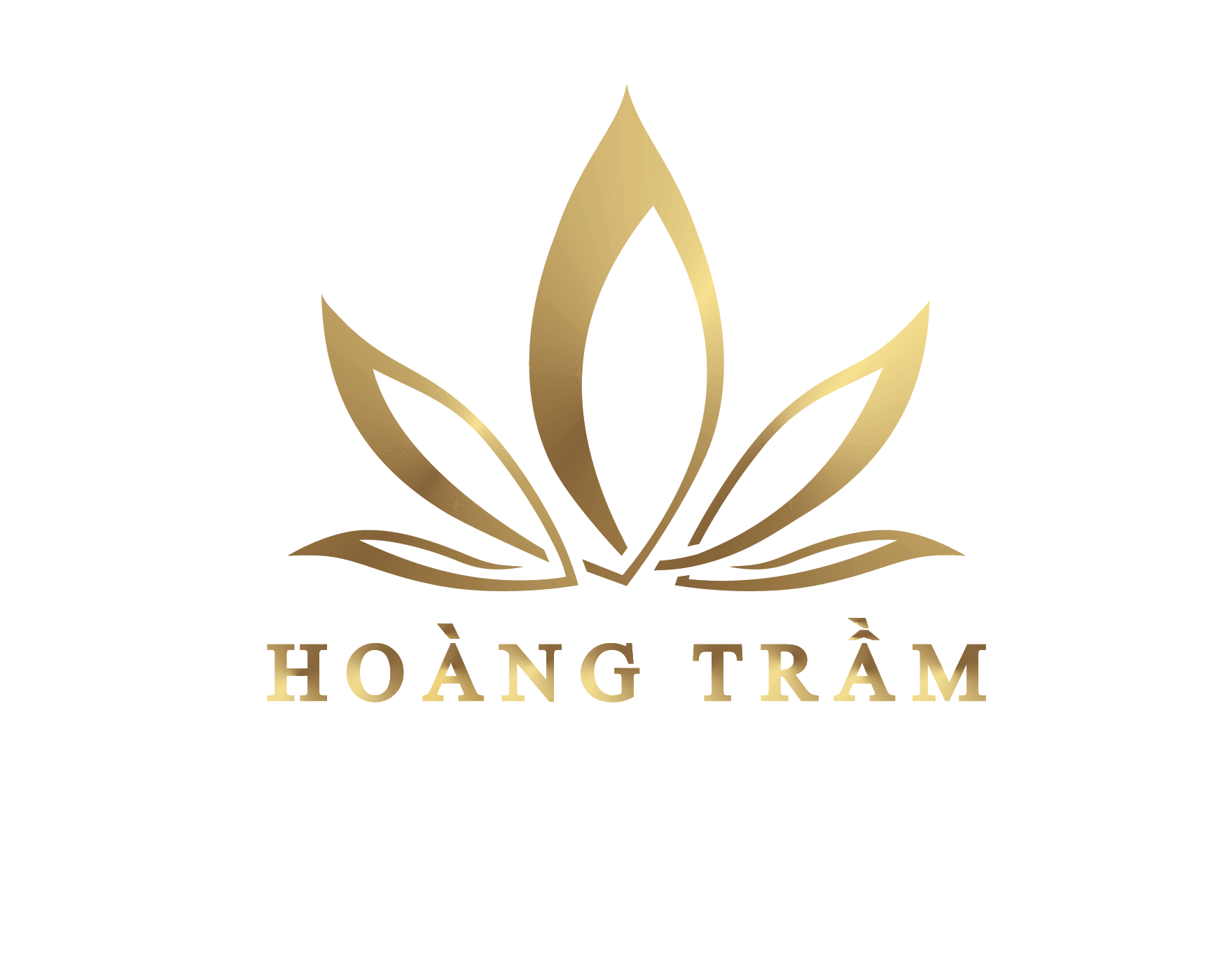 CÔNG TY TNHH THƯƠNG MẠI ĐẦU TƯ SƯ TỬ VÀNG CÔNG TY TNHH THƯƠNG MẠI ĐẦU TƯ SƯ TỬ VÀNG
